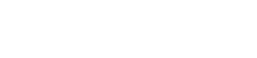 Nexus Motorsport